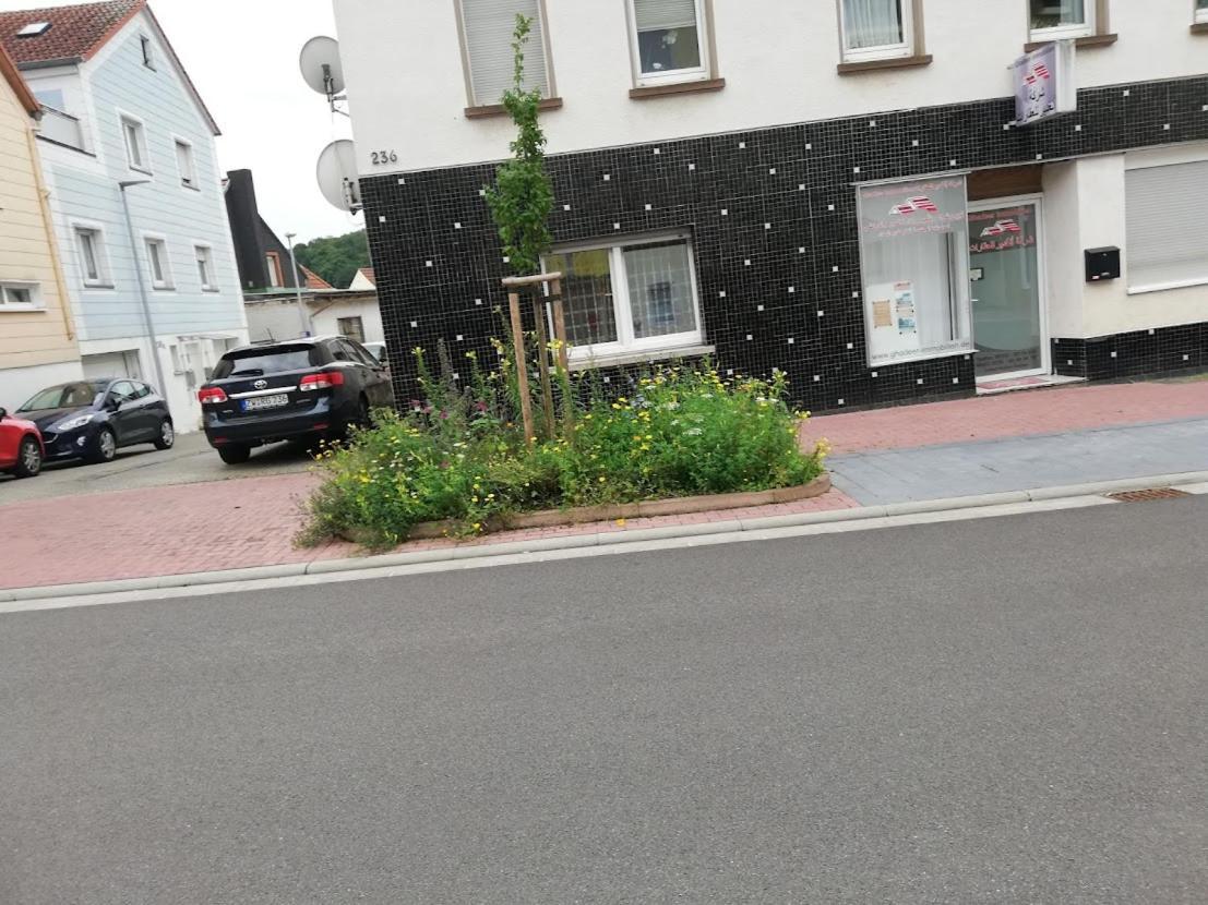 Sunflower Zweibrucken Bagian luar foto